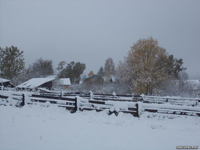 В Пакшеньге первый снег. 11 октября 2014 г.